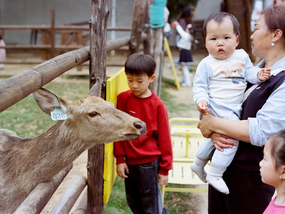 Children and a caregiver meeting deer on an outdoor animal outing