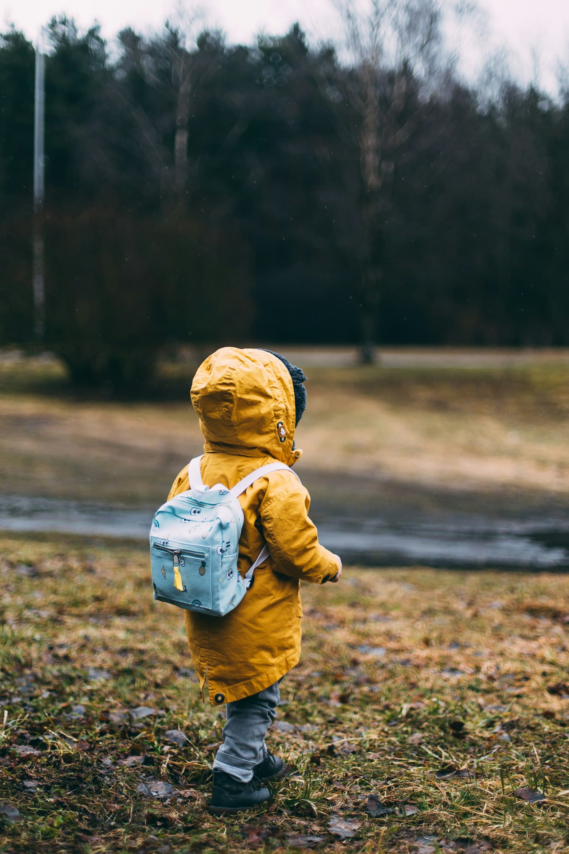 A young child in a backpack setting off on an outdoor adventure